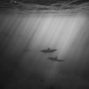 精品国产三级A在线
